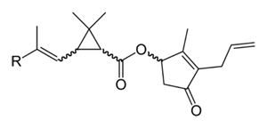 molecule