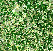 Crop Circles