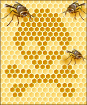 Bees