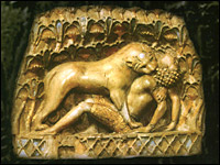 lioness