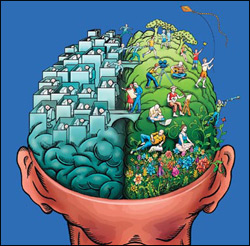 brain