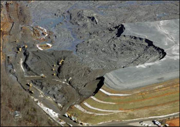 Coal