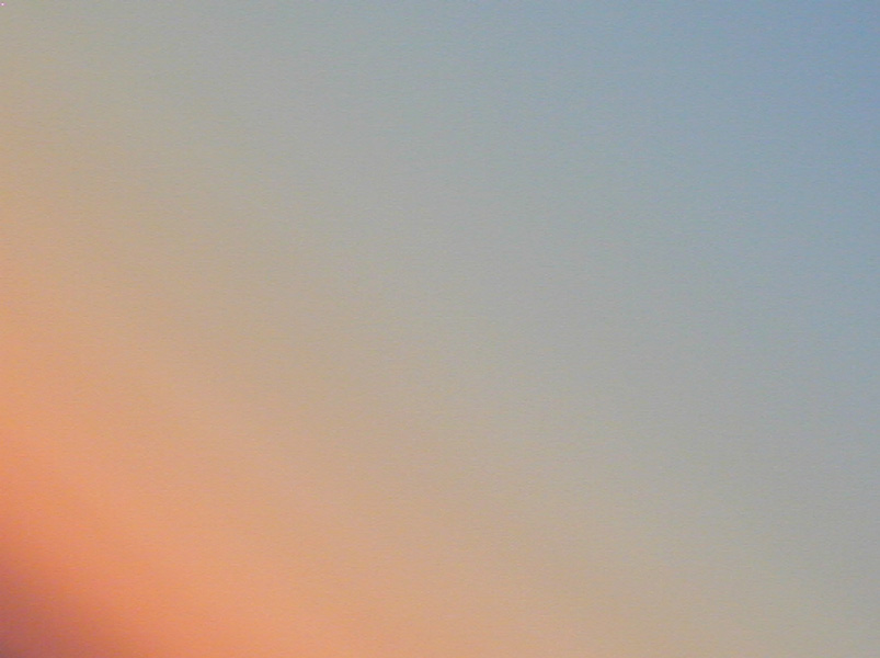 DSCN4163