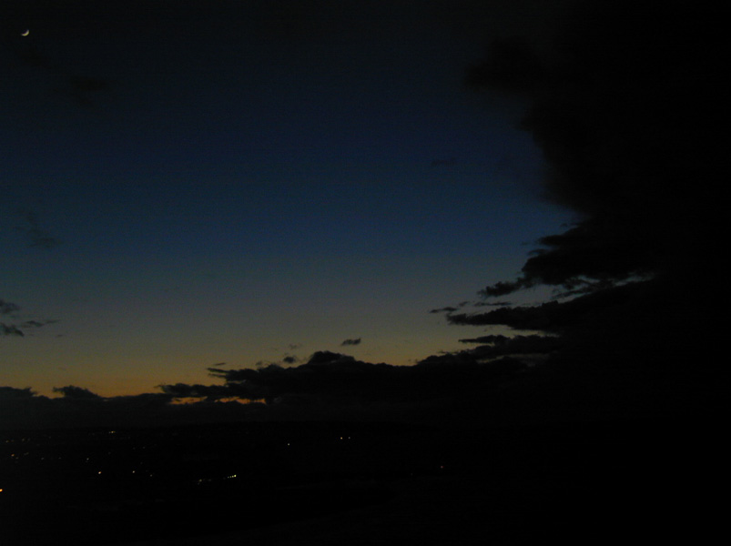 Picture 010