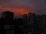 DSCN0135