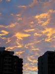 DSCN2512