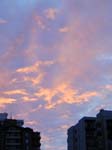 DSCN2516