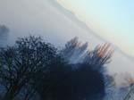 DSCN3271