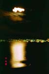 Img00010